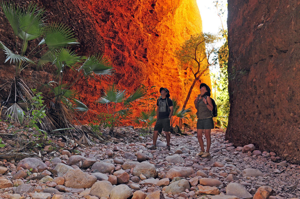 Bungle Bungle Wilderness Lodge Turkey Creek المظهر الخارجي الصورة