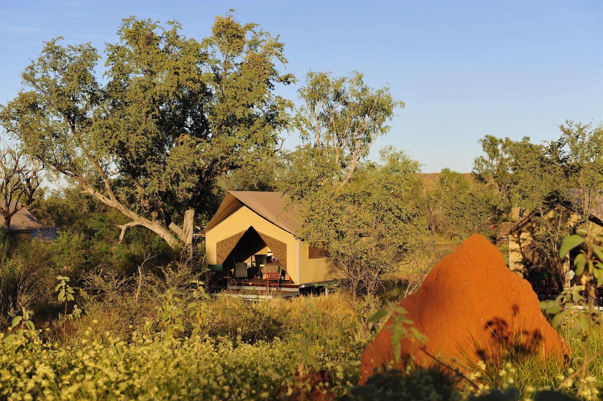 Bungle Bungle Wilderness Lodge Turkey Creek المظهر الخارجي الصورة